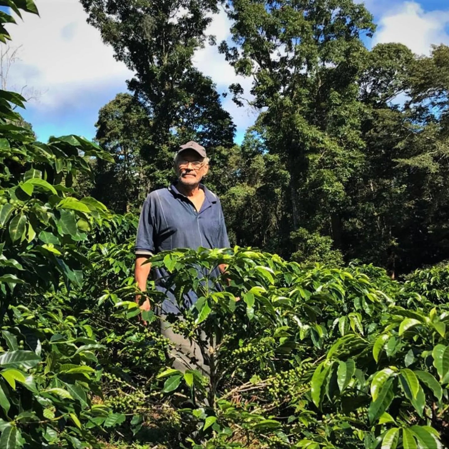 HONDURAS - José Andrés