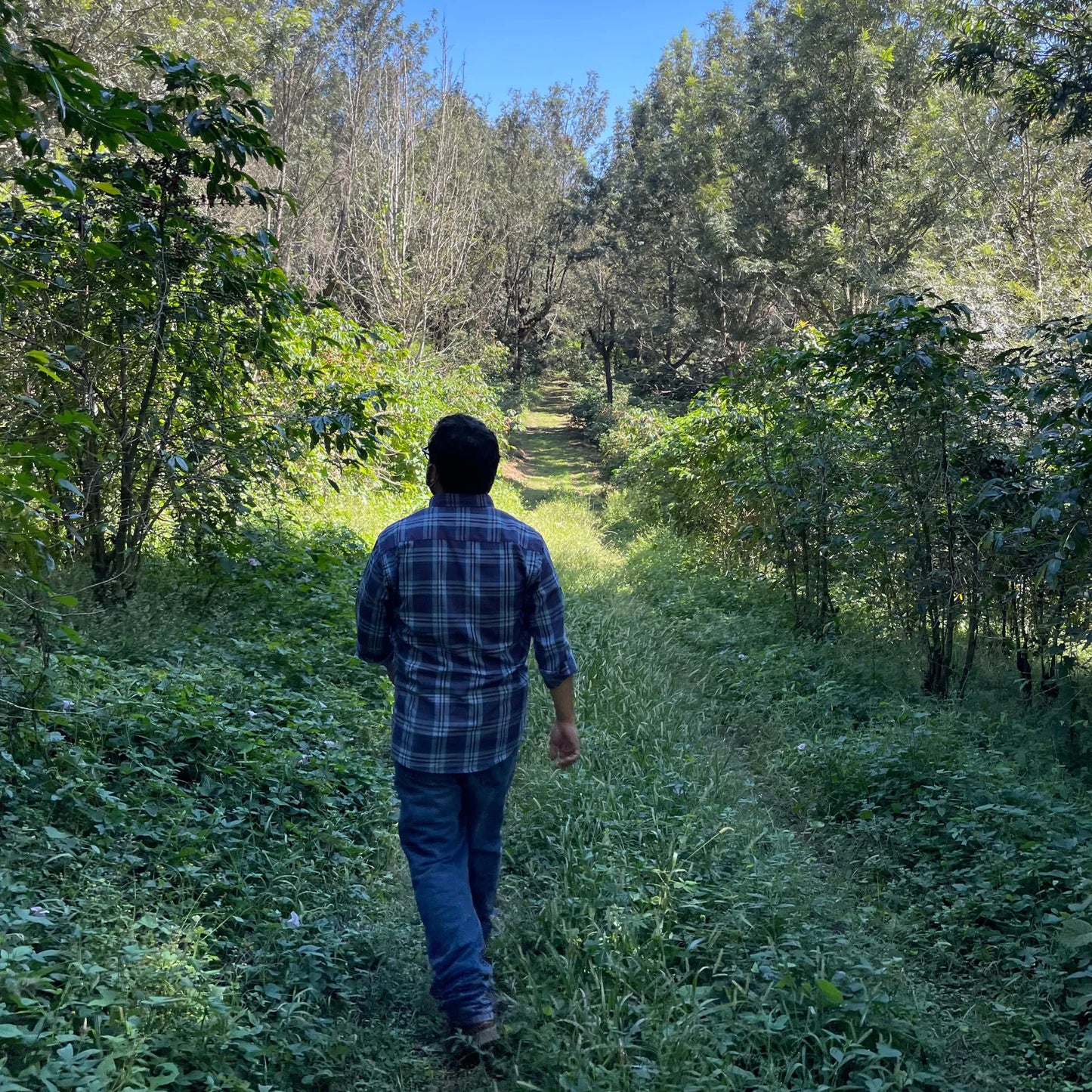 GUATEMALA - José Moreira