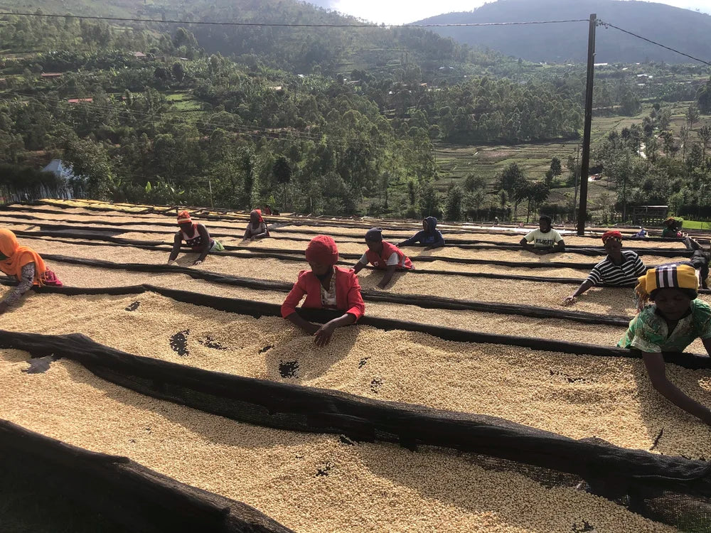 RWANDA - Antoine Kagenza