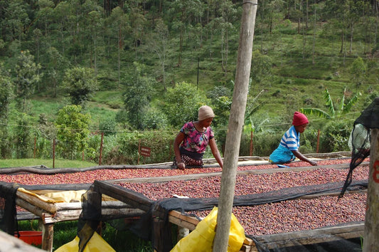 RWANDA - Antoine Kagenza