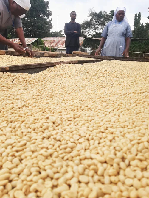 DECAF TANZANIA - Kumburu & Ngapomba