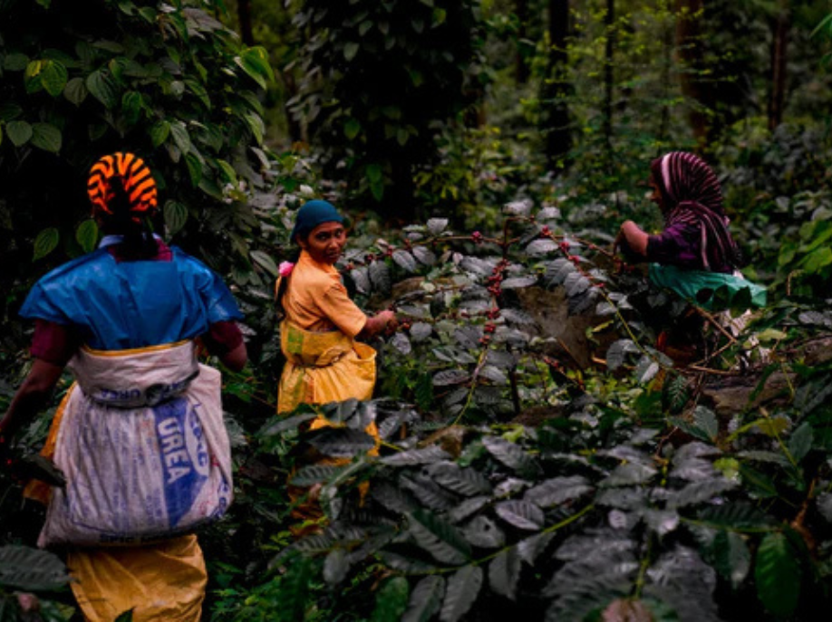 INDIA - Prakashan Balaraman