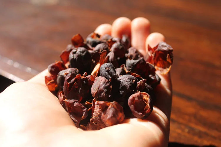 CASCARA ETHIOPIA - Limmu Kossa
