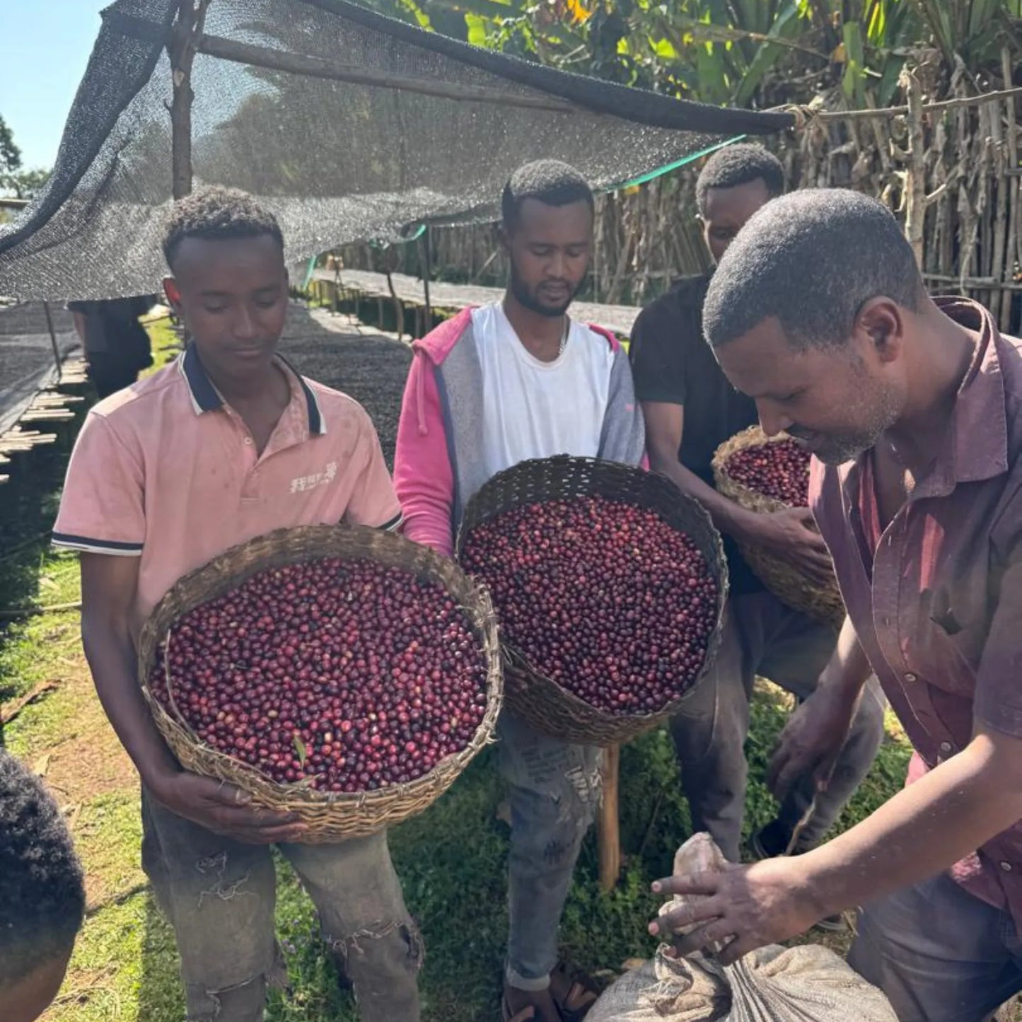 ETHIOPIA - Nguisse Kayimo