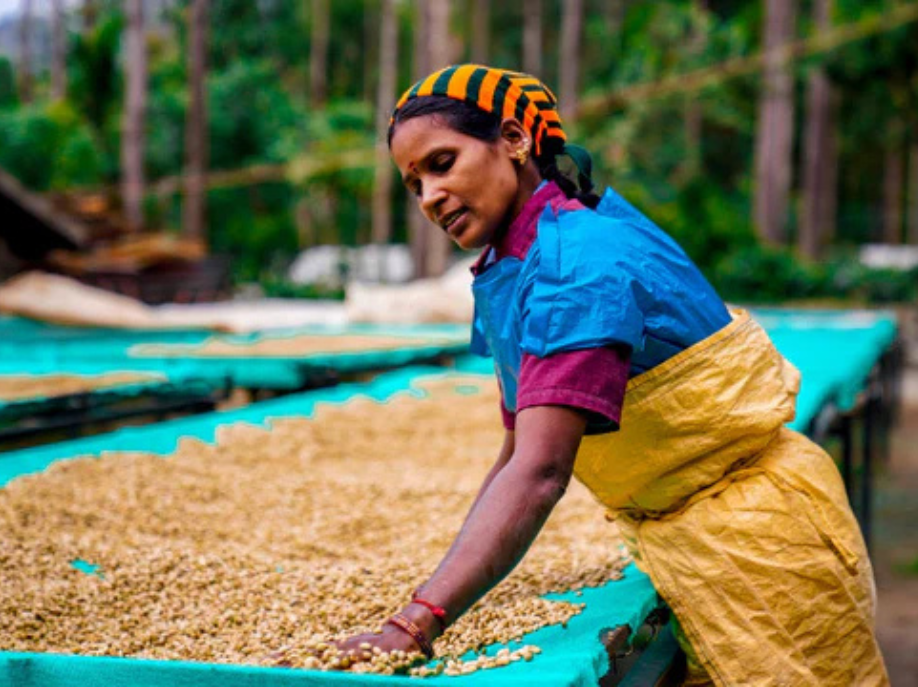 INDIA - Prakashan Balaraman