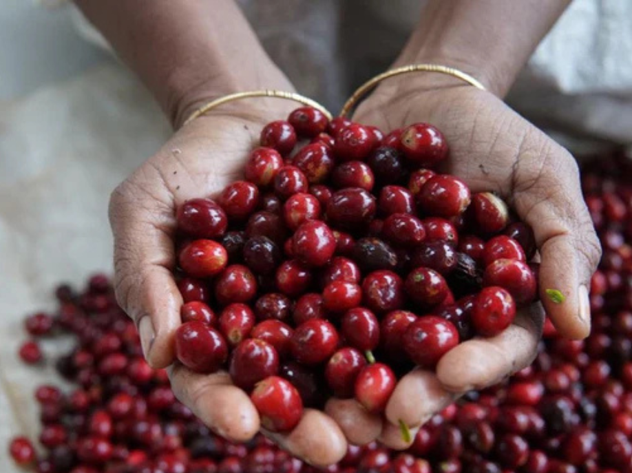 INDIA - Prakashan Balaraman