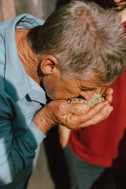 BRAZIL - Luiz Saldanha