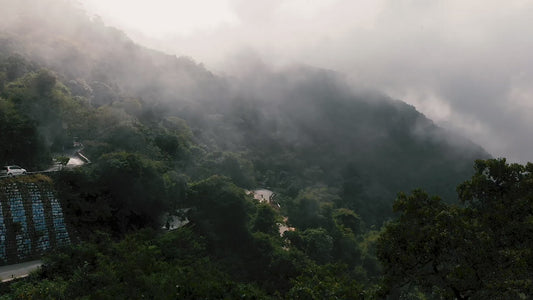 INDIA - Prakashan Balaraman